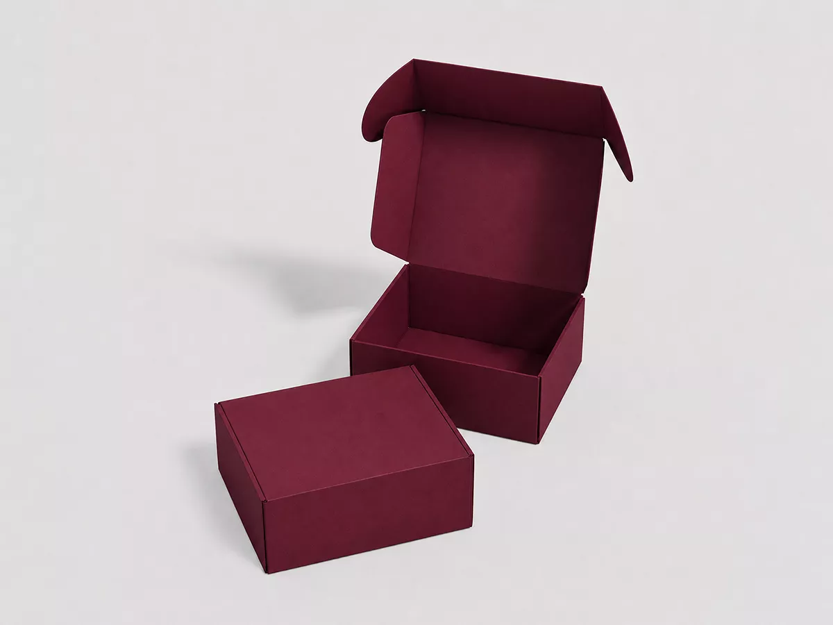 Sofbox Earlock2
